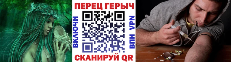 ГЕРОИН хмурый Нюрба