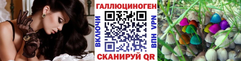 Псилоцибиновые грибы прущие грибы  Нюрба 