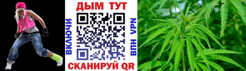 Каннабис индика Нюрба